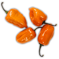 Habanero Peppers