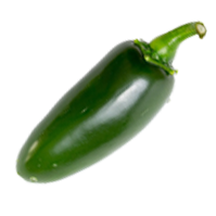 Jalapeno Pepper