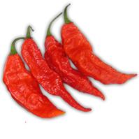 Bhut Jolokia (Ghost Peppers)